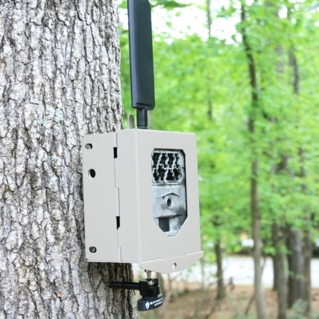 Caja seguridad Spartan para cámara trampa – Protección metálica cámaras trampa - Imagen 4