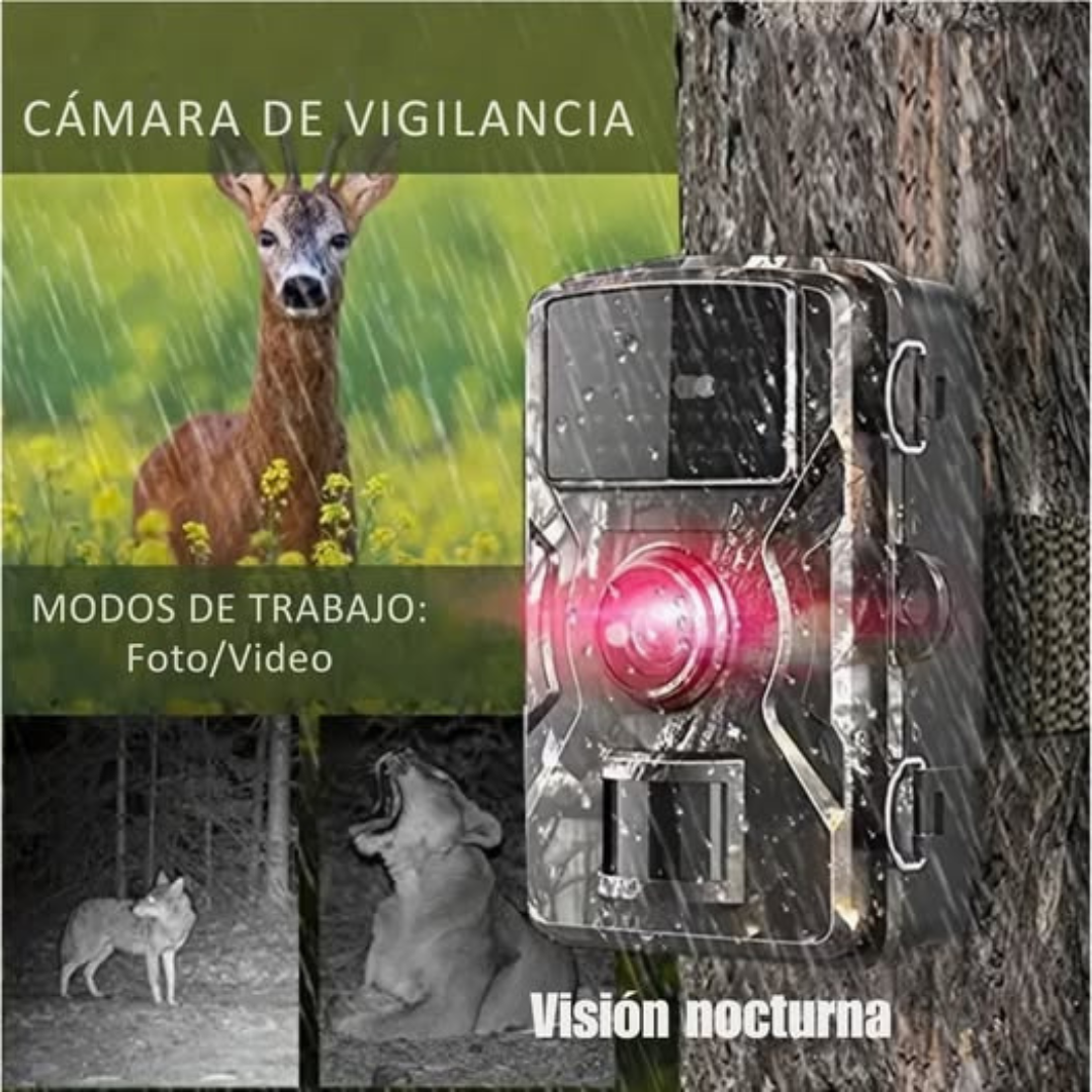 Cámara de Vigilancia nocturna (Kit con Memoria 16GB) - Imagen 3