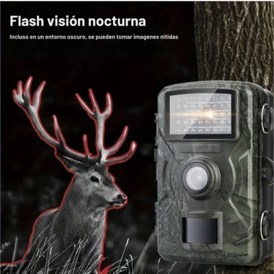 Cámara de Vigilancia nocturna (Kit con Memoria 16GB) - Imagen 4