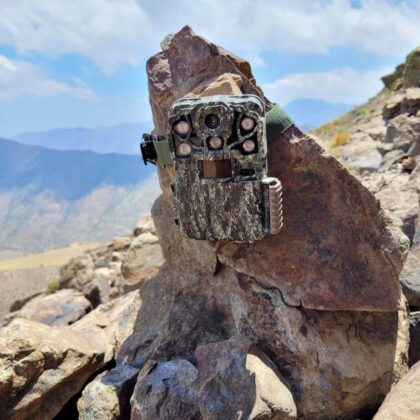 camara trampa landscape